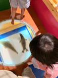 国立科学博物館に投稿された画像（2026/9/15）