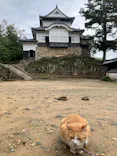 備北タクシー高梁営業所に投稿された画像（2026/9/15）