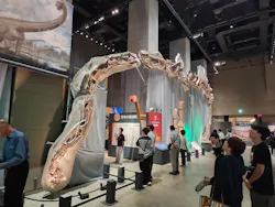 福井県立恐竜博物館に投稿された画像（2026/9/15）