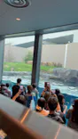 天王寺動物園に投稿された画像（2026/9/16）