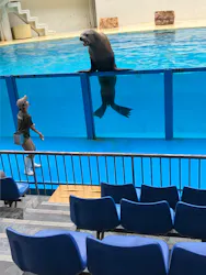 伊豆・三津シーパラダイスに投稿された画像（2026/9/16）