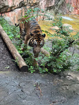 恩賜上野動物園に投稿された画像（2026/9/16）