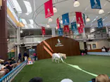 ノーザンホースパークに投稿された画像（2026/9/16）
