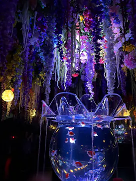 アートアクアリウム展 名古屋2026に投稿された画像（2026/9/16）