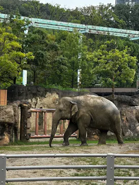 名古屋市東山動植物園に投稿された画像（2026/9/16）