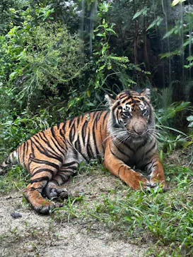 名古屋市東山動植物園に投稿された画像（2026/9/16）