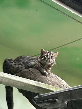 名古屋市東山動植物園に投稿された画像（2026/9/16）