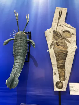 特別展　大絶滅展に投稿された画像（2026/9/16）