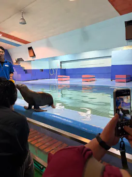 ゼロ距離水族館 伊勢シーパラダイスに投稿された画像（2026/9/16）
