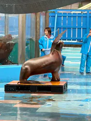 ゼロ距離水族館 伊勢シーパラダイスに投稿された画像（2026/9/16）