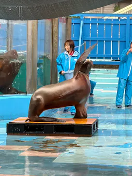 ゼロ距離水族館 伊勢シーパラダイスに投稿された画像（2026/9/16）