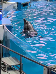 マクセル アクアパーク品川に投稿された画像（2026/9/16）