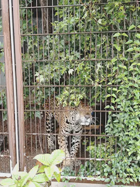 名古屋市東山動植物園に投稿された画像（2026/9/16）
