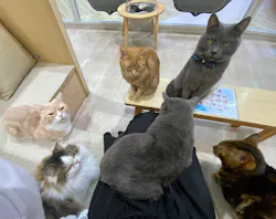 Moff animal cafe イオンモール成田店に投稿された画像（2026/9/16）