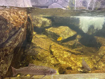 仙台うみの杜水族館に投稿された画像（2026/9/16）