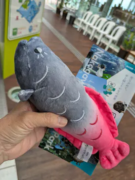 栃木県なかがわ水遊園に投稿された画像（2026/9/16）