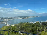 江の島シーキャンドル×新江ノ島水族館に投稿された画像（2026/9/16）