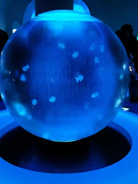 新江ノ島水族館に投稿された画像（2026/9/16）