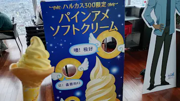 ハルカス300(展望台)に投稿された画像（2026/9/16）