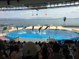 マリンワールド海の中道に投稿された画像（2026/9/17）