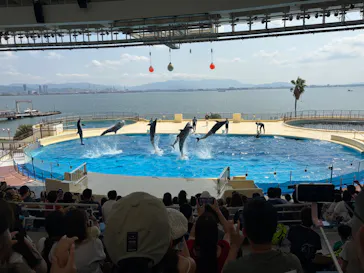 マリンワールド海の中道に投稿された画像（2026/9/17）