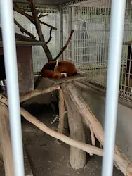 熱川バナナワニ園に投稿された画像（2026/9/17）