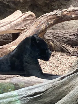 名古屋市東山動植物園に投稿された画像（2026/9/17）
