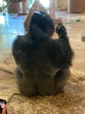 名古屋市東山動植物園に投稿された画像（2026/9/17）
