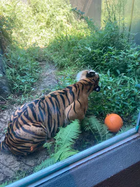 名古屋市東山動植物園に投稿された画像（2026/9/17）