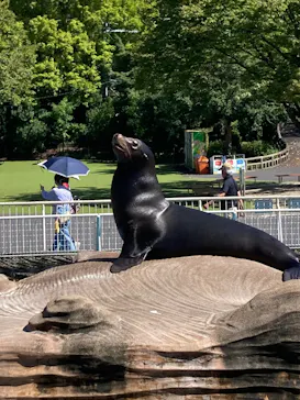 名古屋市東山動植物園に投稿された画像（2026/9/17）
