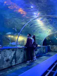 しながわ水族館に投稿された画像（2026/9/17）