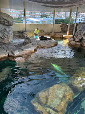しながわ水族館に投稿された画像（2026/9/17）