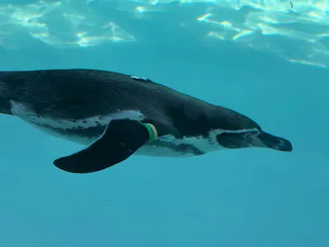 葛西臨海水族園に投稿された画像（2026/9/17）
