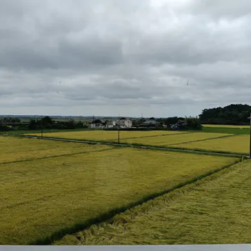 成田の命泉　大和の湯に投稿された画像（2026/9/17）
