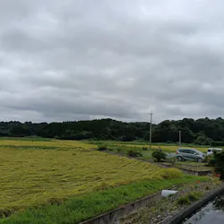 成田の命泉　大和の湯に投稿された画像（2026/9/17）