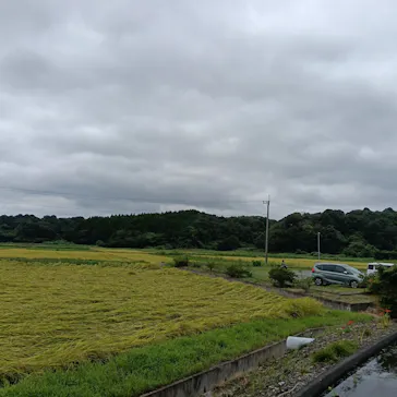 成田の命泉　大和の湯に投稿された画像（2026/9/17）