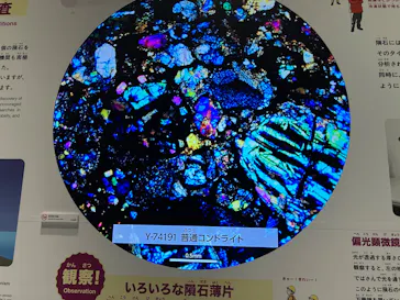 大南極展に投稿された画像（2026/9/17）