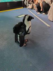 箱根園水族館に投稿された画像（2026/9/17）
