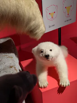 特別展「いきもの超ワールド展　国立科学博物館×ダーウィンが来た！」（国立科学博物館）に投稿された画像（2026/9/17）