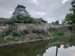 大阪城公園 西の丸庭園に投稿された画像（2026/9/17）