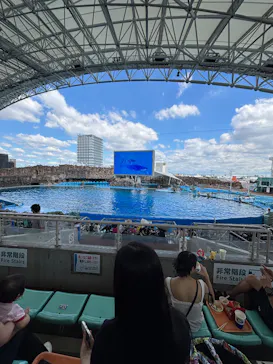 名古屋港水族館に投稿された画像（2026/9/17）