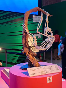 特別展「いきもの超ワールド展　国立科学博物館×ダーウィンが来た！」（国立科学博物館）に投稿された画像（2026/9/18）