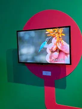 特別展「いきもの超ワールド展　国立科学博物館×ダーウィンが来た！」（国立科学博物館）に投稿された画像（2026/9/18）