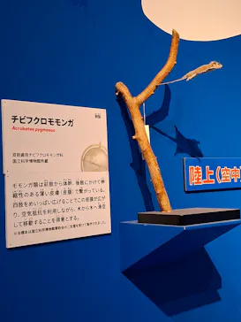 特別展「いきもの超ワールド展　国立科学博物館×ダーウィンが来た！」（国立科学博物館）に投稿された画像（2026/9/18）