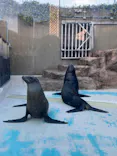 サンシャイン水族館に投稿された画像（2026/9/18）