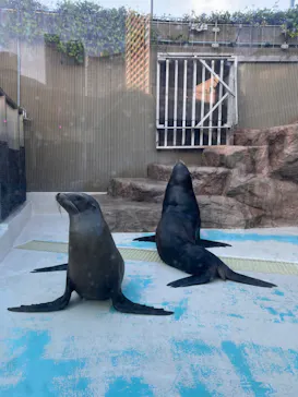 サンシャイン水族館に投稿された画像（2026/9/18）
