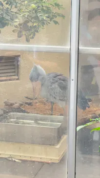 恩賜上野動物園に投稿された画像（2026/9/18）