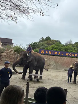 ANIMAL WONDER REZOURT 市原ぞうの国・サユリワールドに投稿された画像（2026/9/18）
