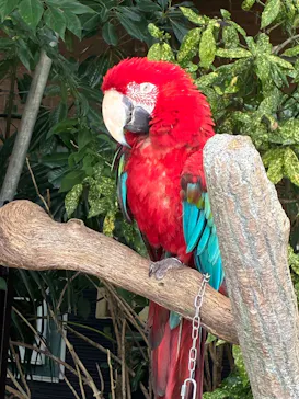ANIMAL WONDER REZOURT 市原ぞうの国・サユリワールドに投稿された画像（2026/9/18）