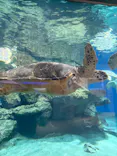 名古屋港水族館に投稿された画像（2026/9/18）